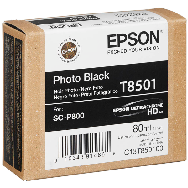 Epson C13T850100 / T8501 Druckerpatrone Foto schwarz